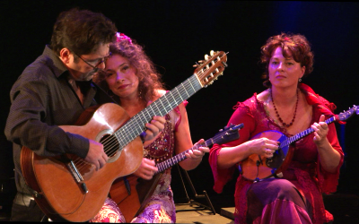 Concert à la Médiathèque des Ulis le 1er Février 2025